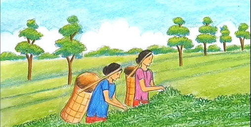 किसान आन्दोलन : चियाको न्यूनतम मूल्य दिलाउने प्रतिबद्धता